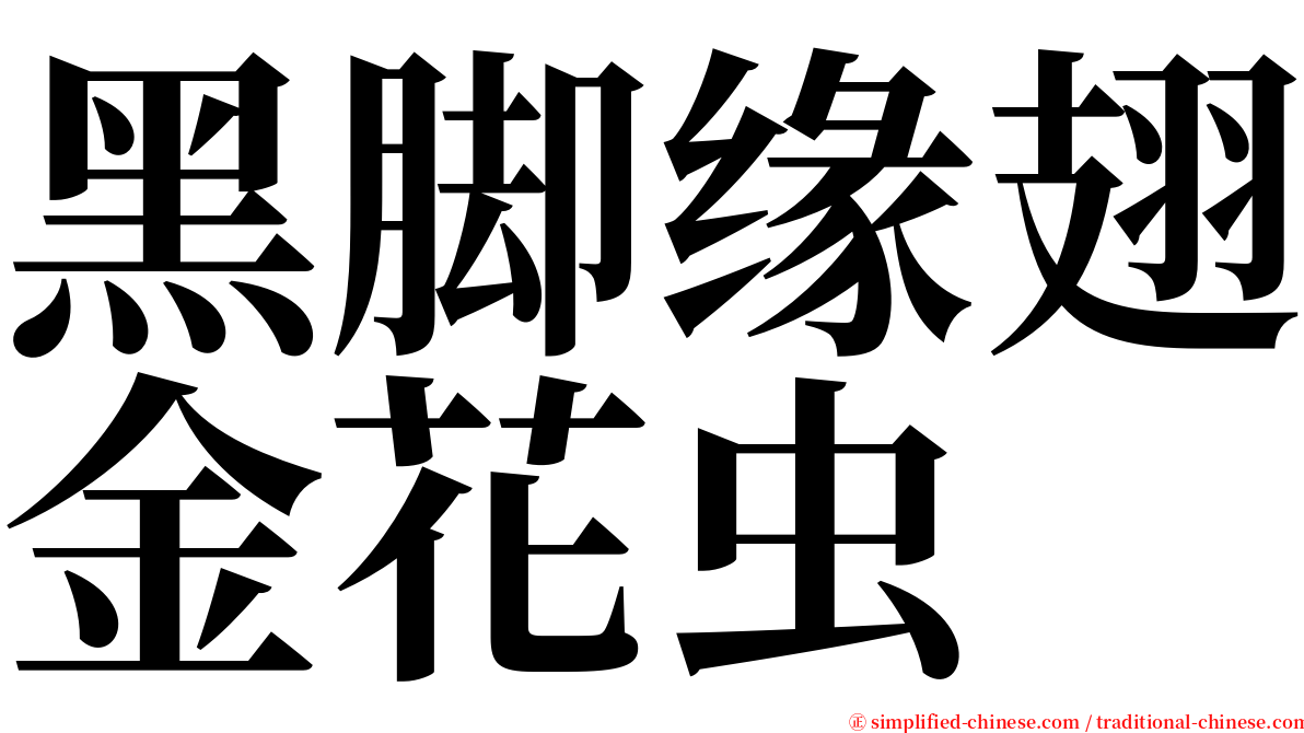 黑脚缘翅金花虫 serif font
