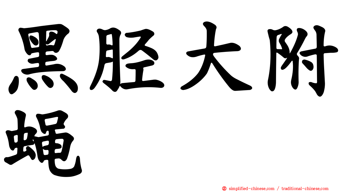 黑胫大附蝇