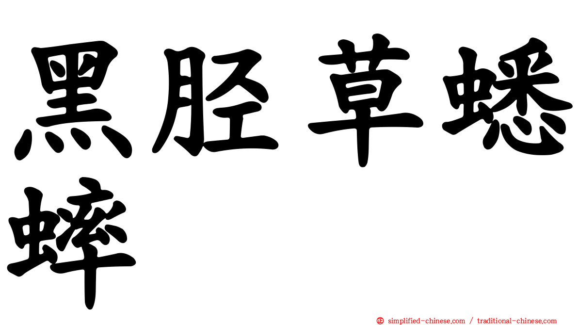 黑胫草蟋蟀