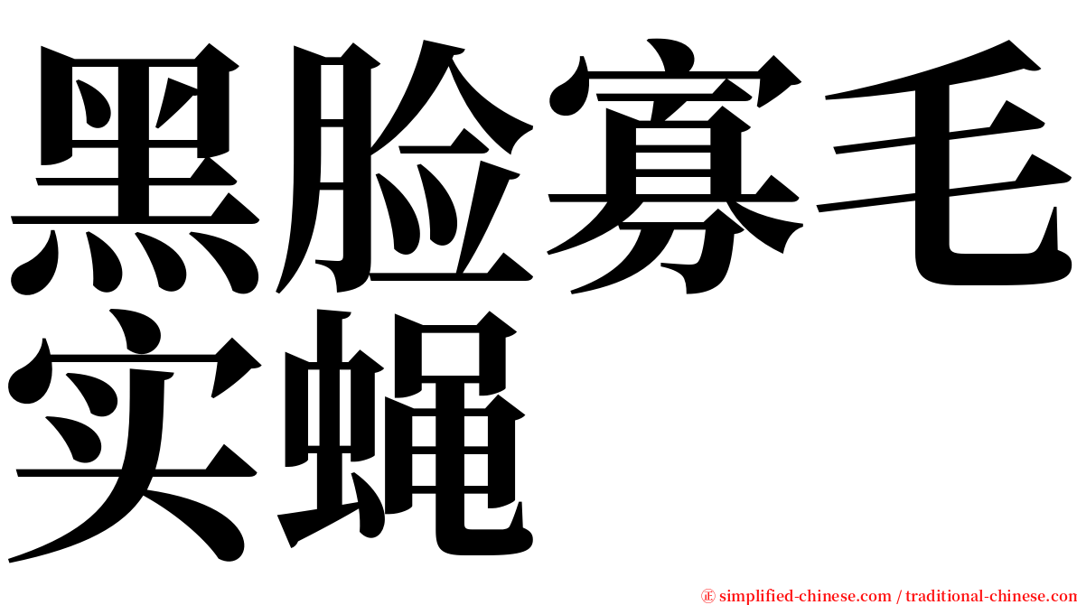 黑脸寡毛实蝇 serif font