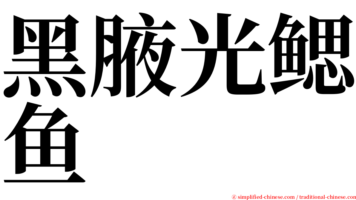 黑腋光鳃鱼 serif font