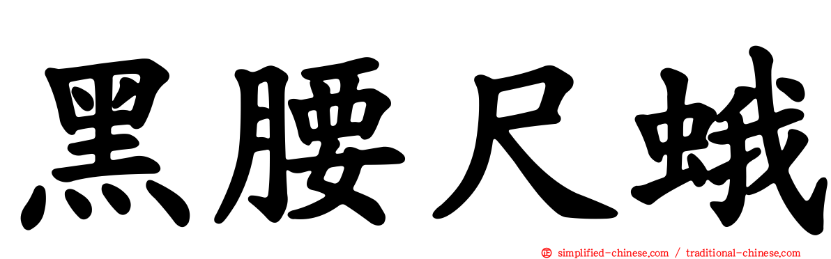 黑腰尺蛾
