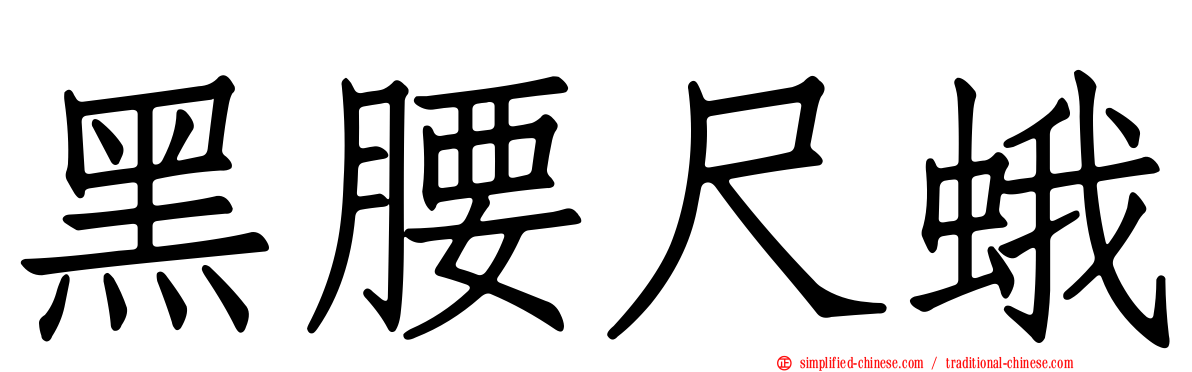 黑腰尺蛾