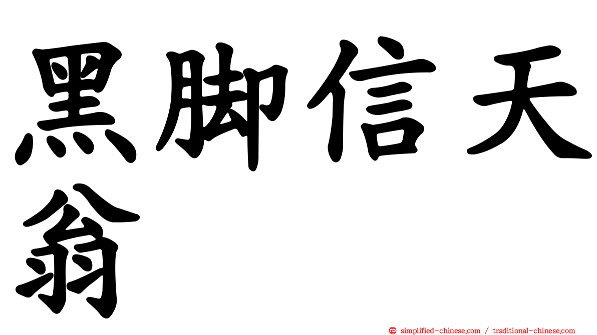 黑脚信天翁