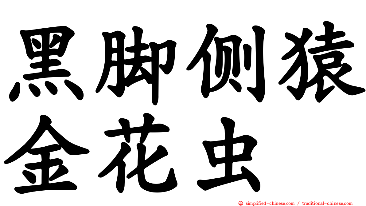 黑脚侧猿金花虫