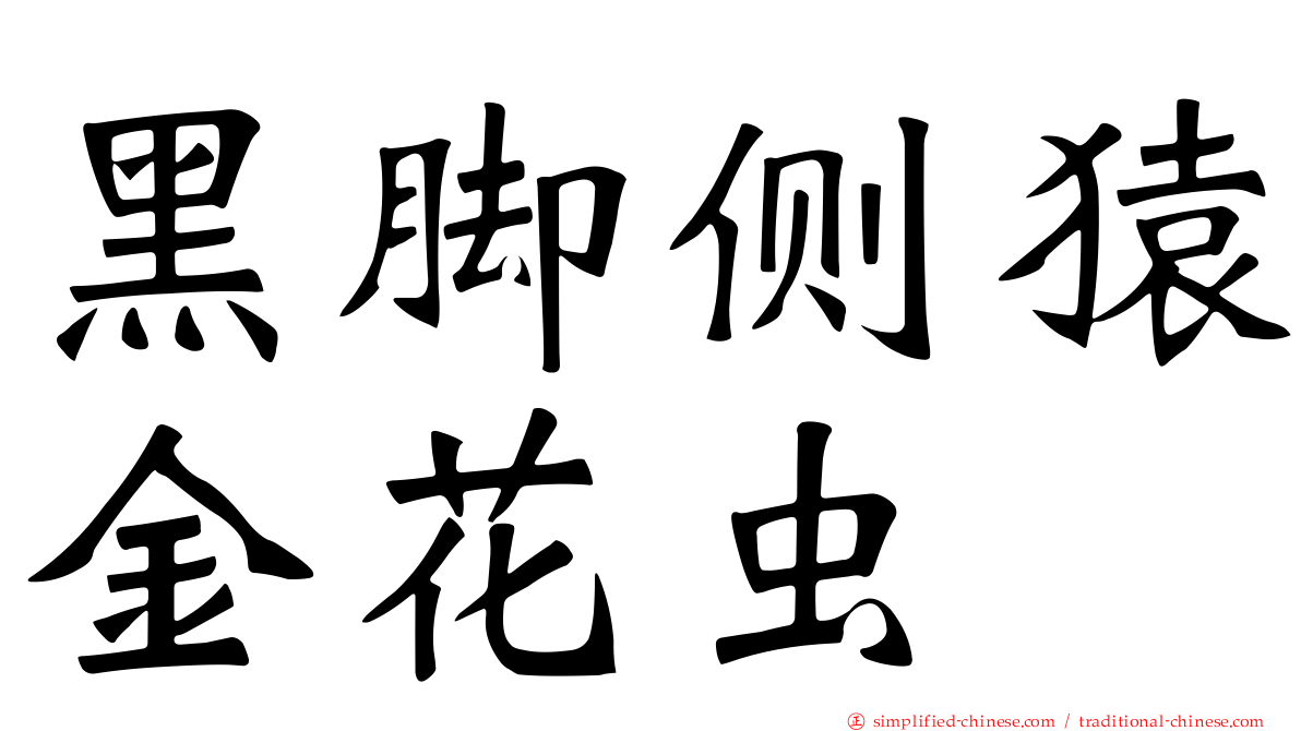 黑脚侧猿金花虫