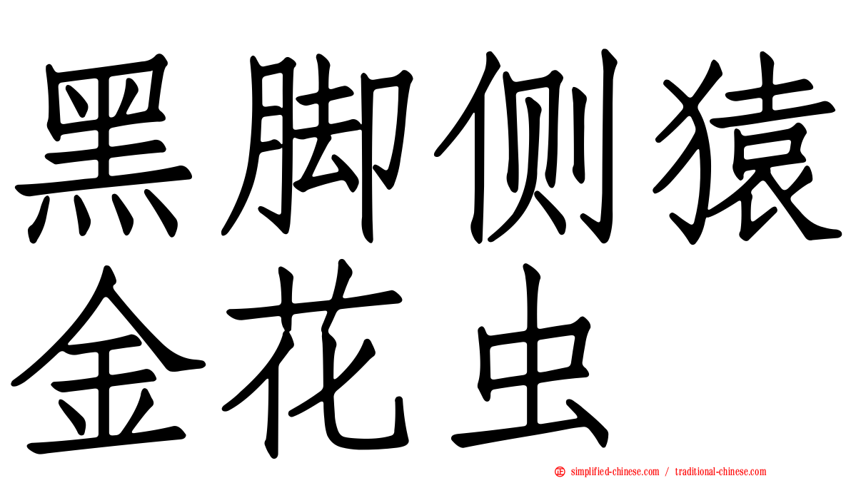 黑脚侧猿金花虫