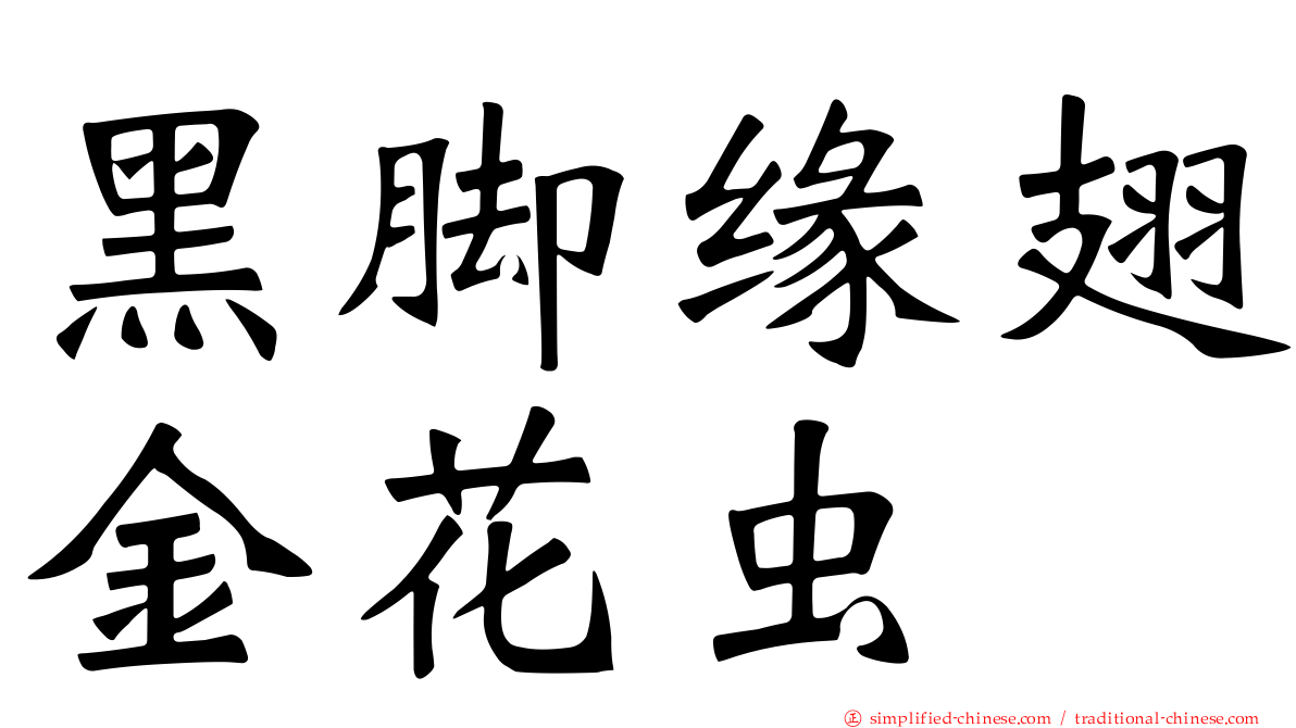 黑脚缘翅金花虫