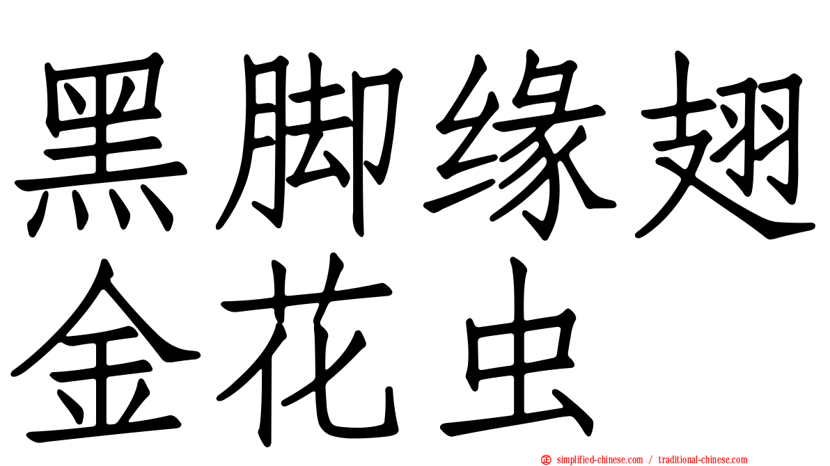 黑脚缘翅金花虫
