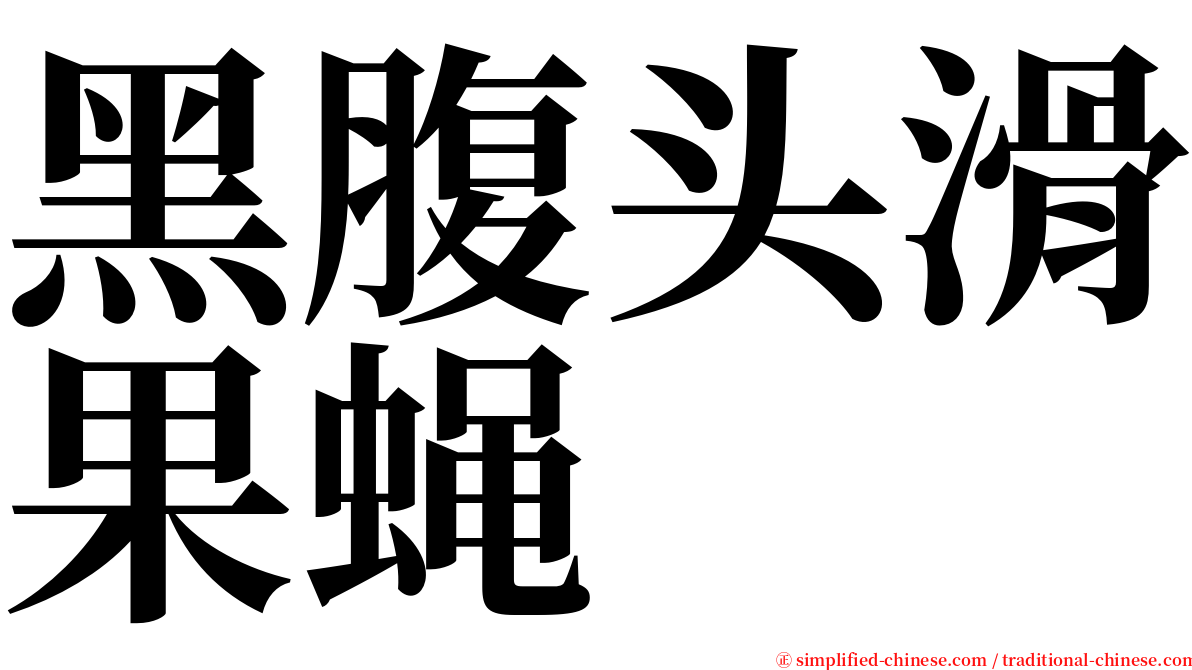 黑腹头滑果蝇 serif font