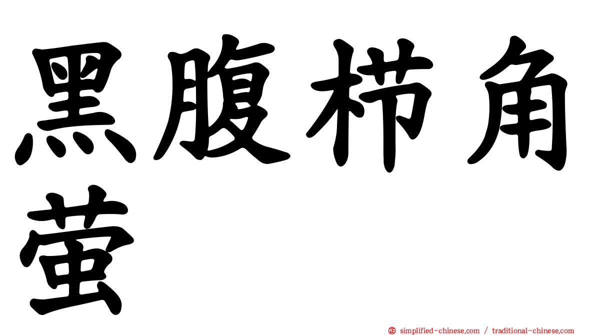 黑腹栉角萤