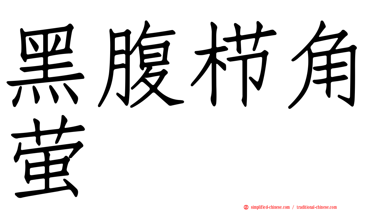 黑腹栉角萤