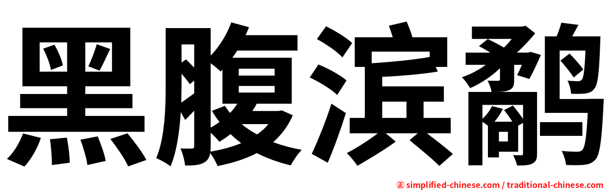 黑腹滨鹬