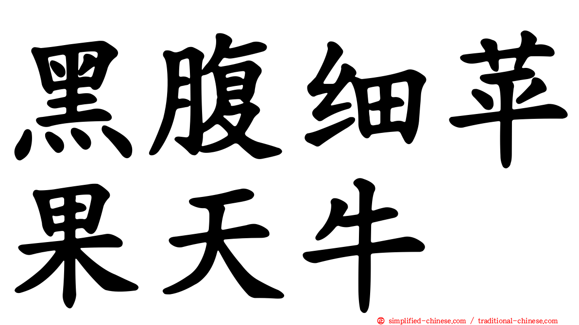 黑腹细苹果天牛