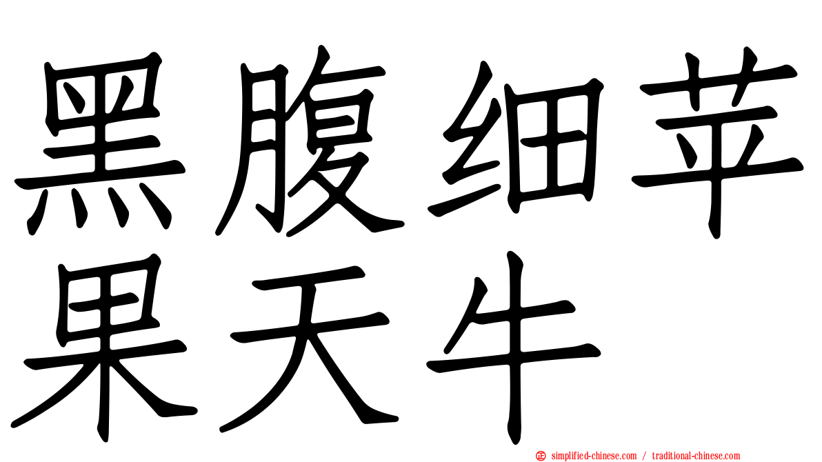黑腹细苹果天牛