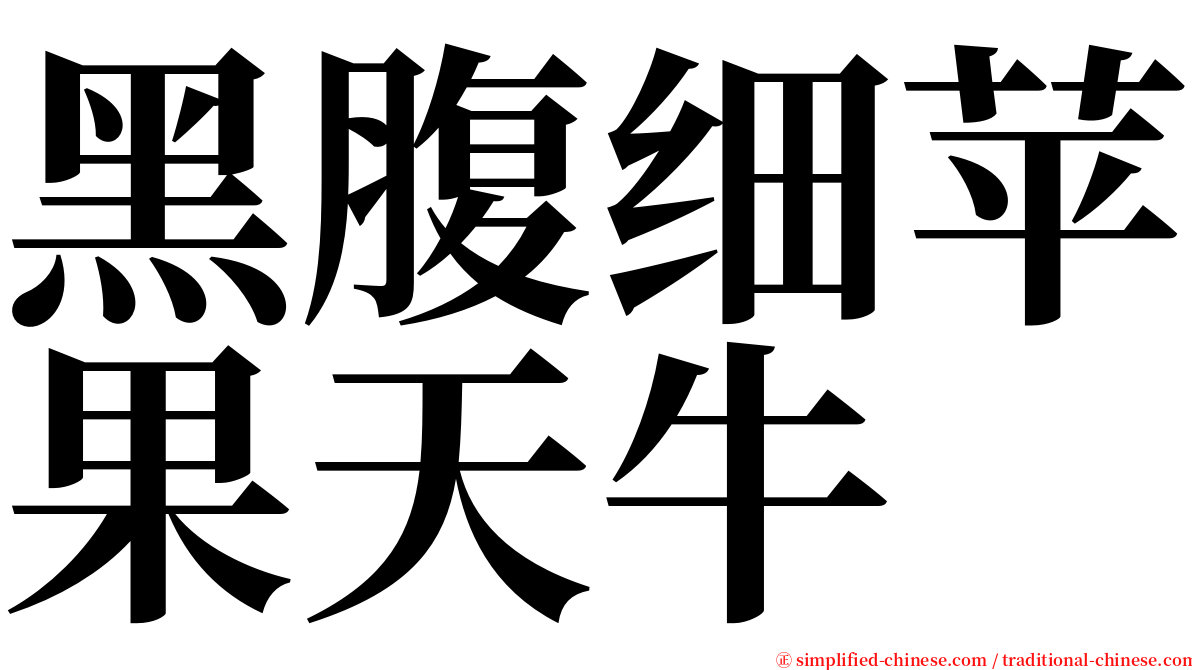 黑腹细苹果天牛 serif font