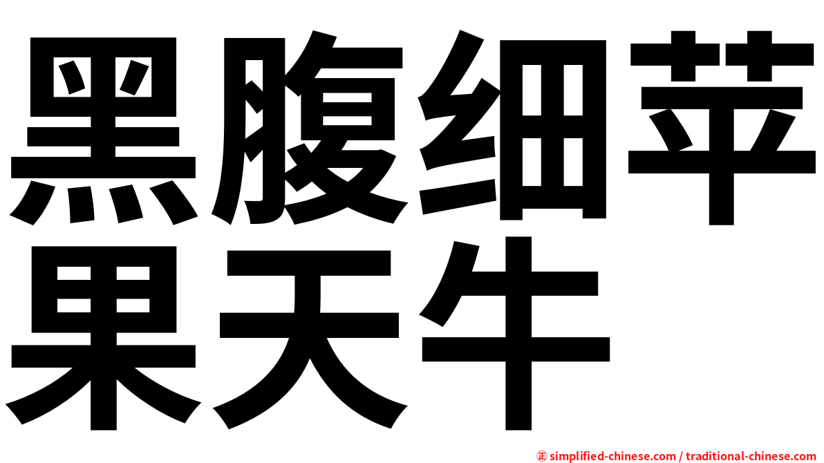 黑腹细苹果天牛