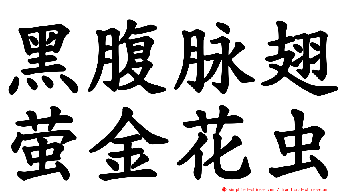 黑腹脉翅萤金花虫