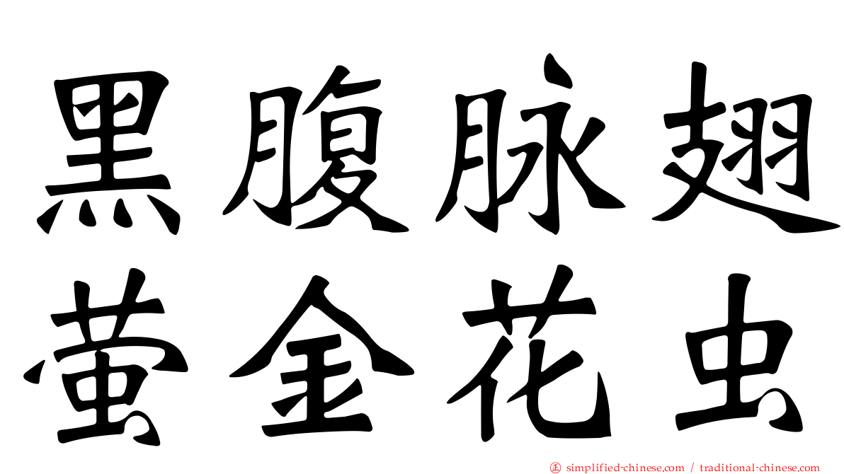 黑腹脉翅萤金花虫