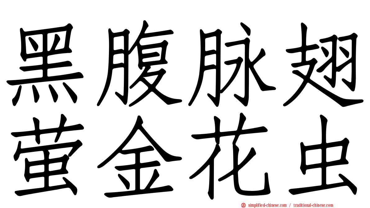 黑腹脉翅萤金花虫