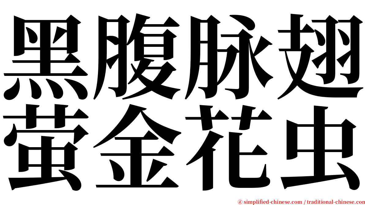 黑腹脉翅萤金花虫 serif font