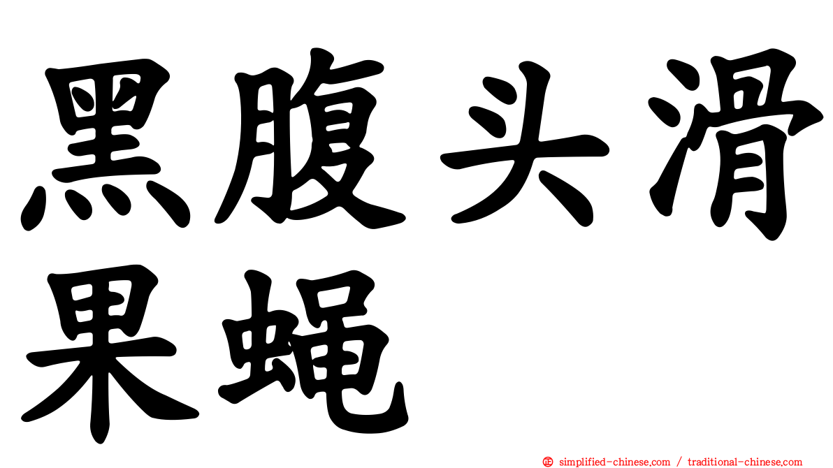 黑腹头滑果蝇