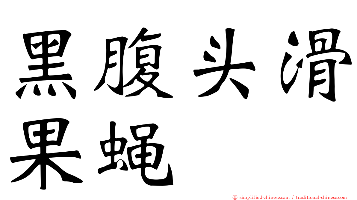 黑腹头滑果蝇