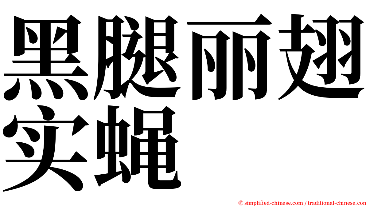 黑腿丽翅实蝇 serif font