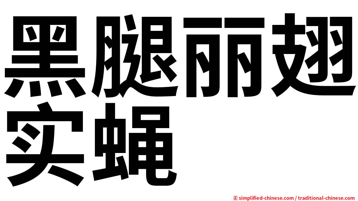 黑腿丽翅实蝇