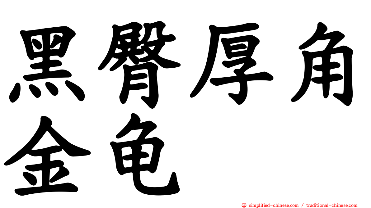 黑臀厚角金龟
