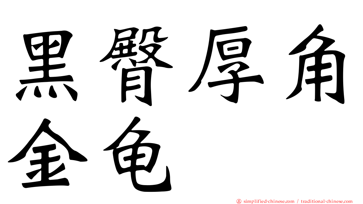 黑臀厚角金龟