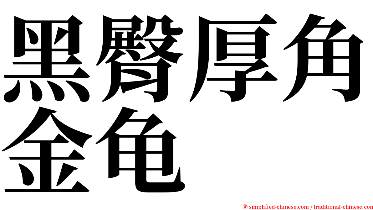黑臀厚角金龟 serif font
