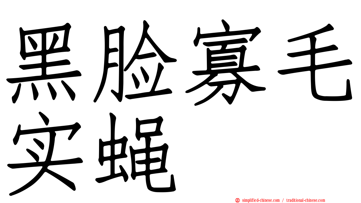 黑脸寡毛实蝇