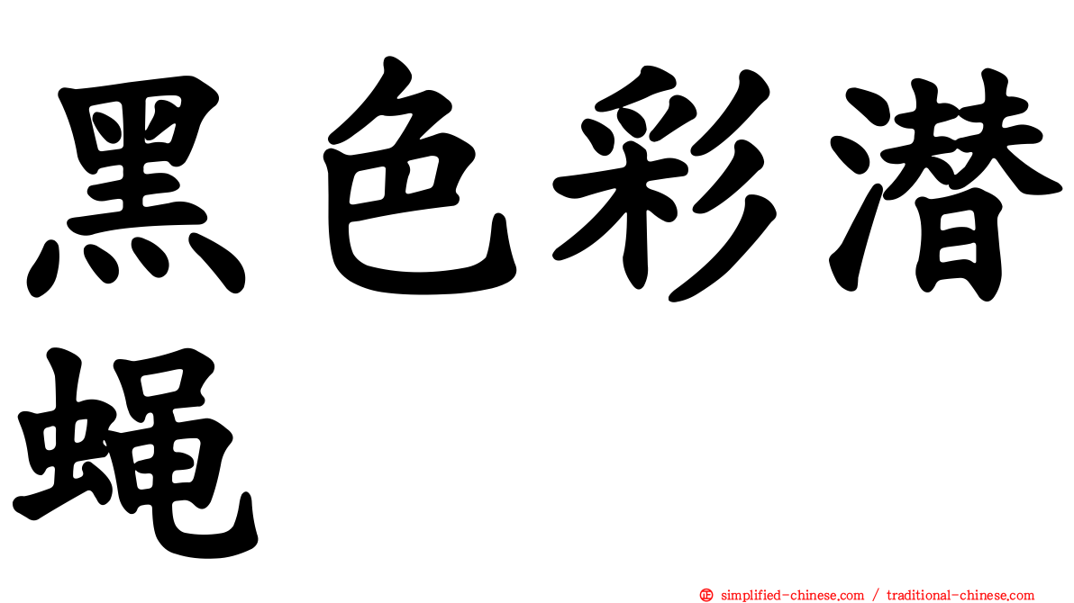 黑色彩潜蝇