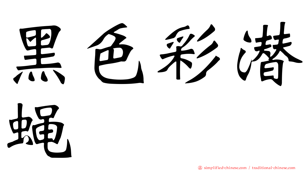 黑色彩潜蝇