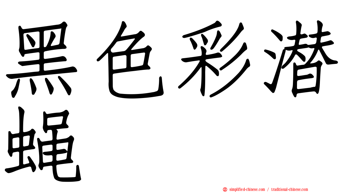 黑色彩潜蝇