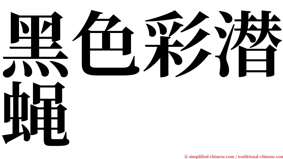 黑色彩潜蝇 serif font