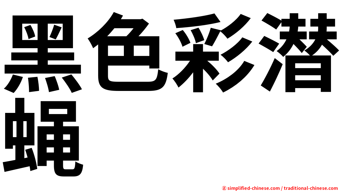 黑色彩潜蝇