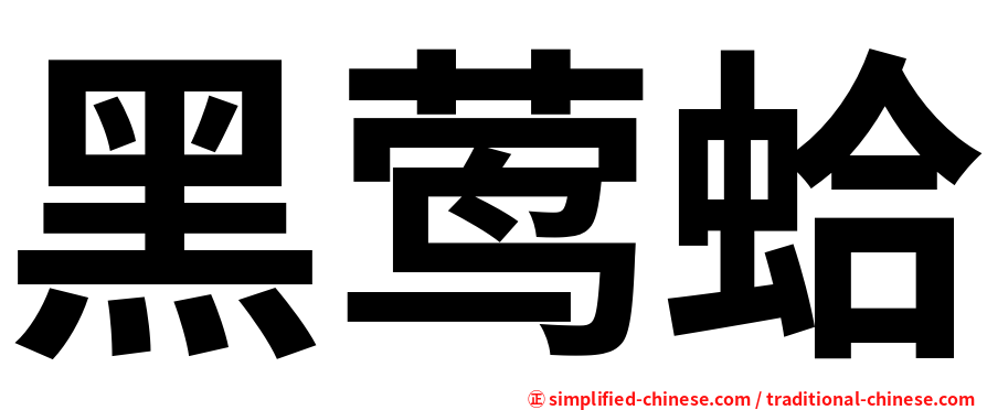 黑莺蛤