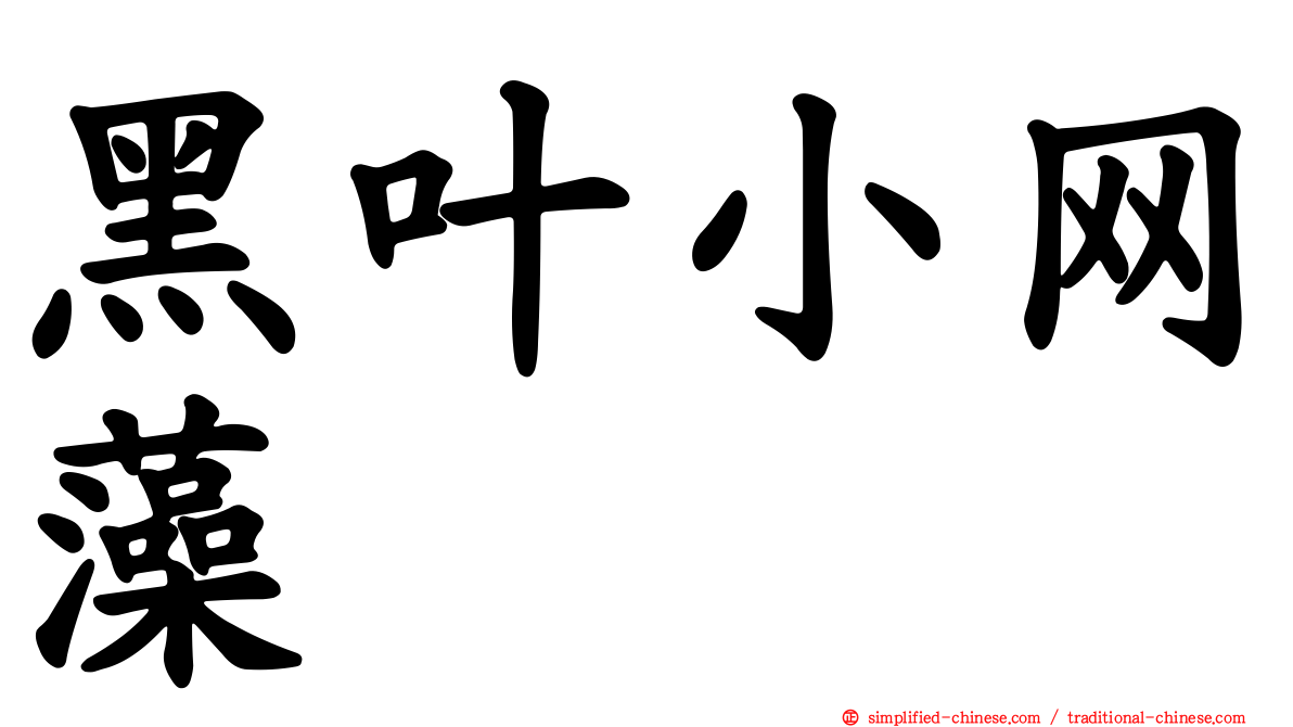 黑叶小网藻