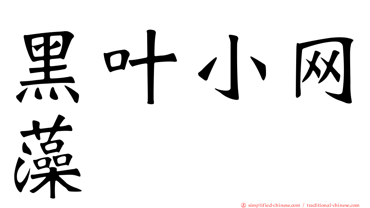 黑叶小网藻