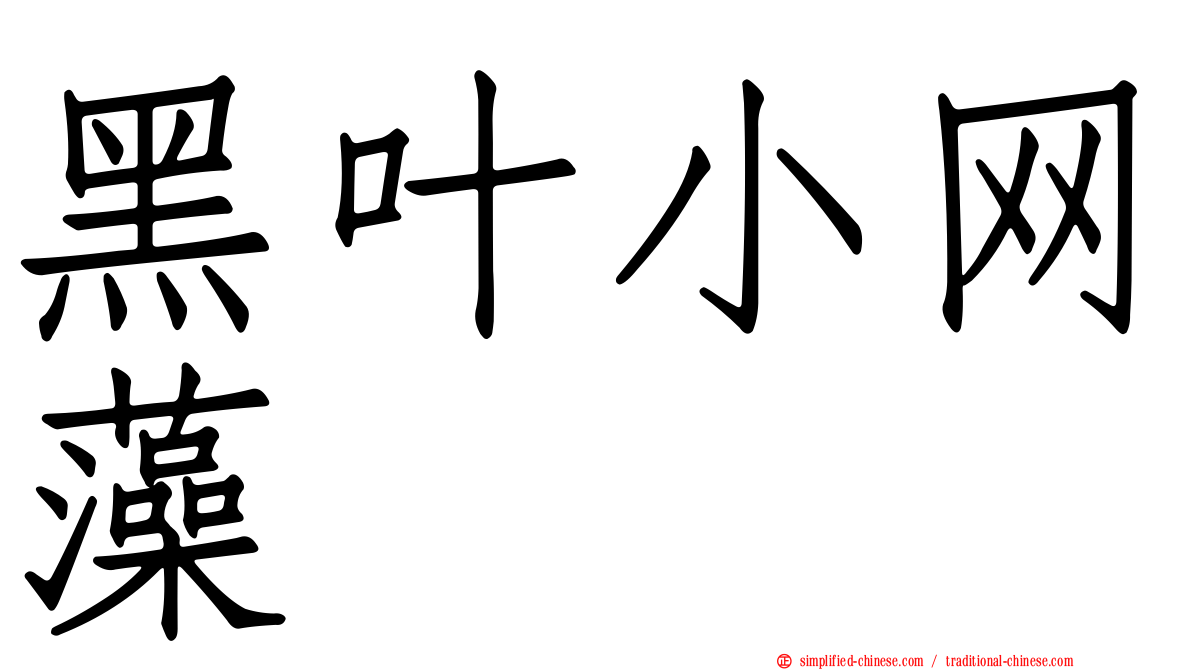 黑叶小网藻
