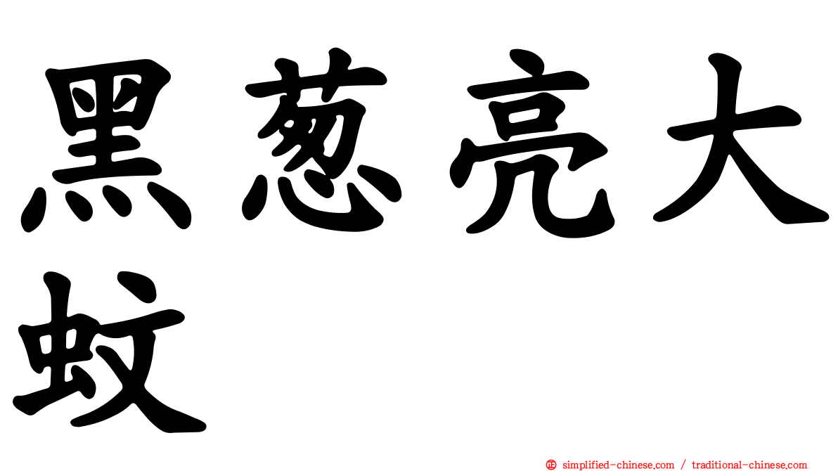 黑葱亮大蚊