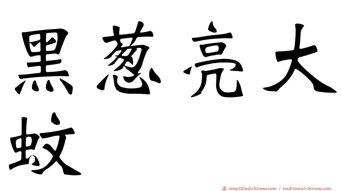 黑葱亮大蚊