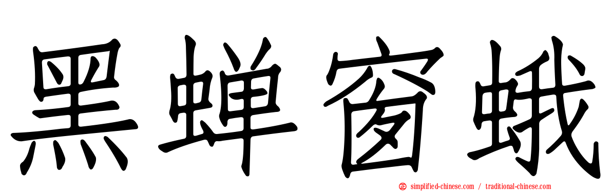 黑蝉窗蛾