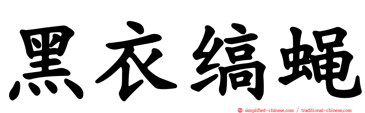 黑衣缟蝇