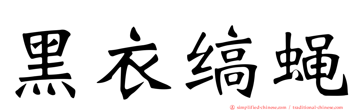 黑衣缟蝇