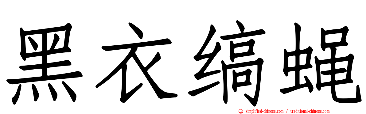 黑衣缟蝇