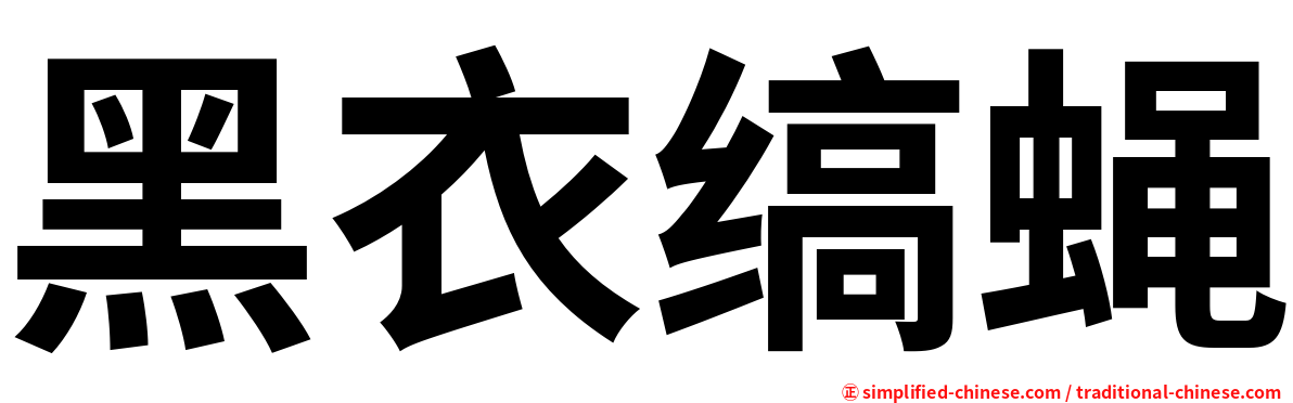 黑衣缟蝇