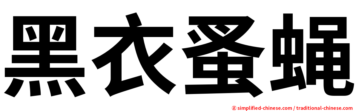 黑衣蚤蝇